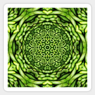 Vegetarian Kaleidoscope, Fruit Fantasy Patterns. 1 Cucumbers Sticker